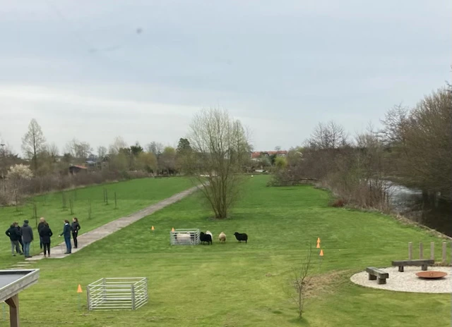 Bij Lobke terrein